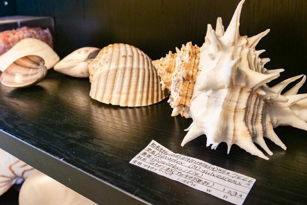 Kodaka Hotel Tokyo Eksteriør billede